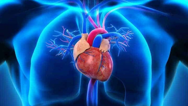 کدام مواد غذایی برای قلب مضرند؟