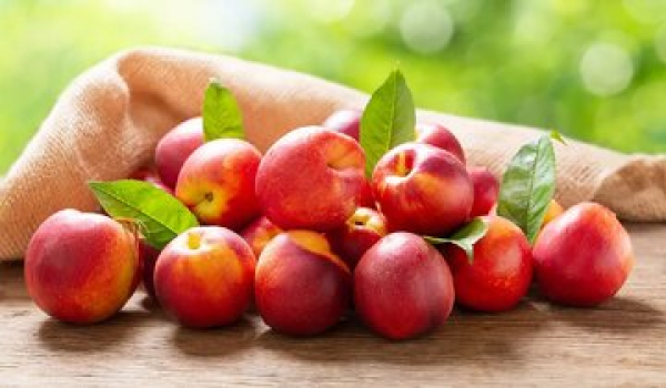 این میوه برای درمان یبوست و تقویت کبد معجزه می‌کند