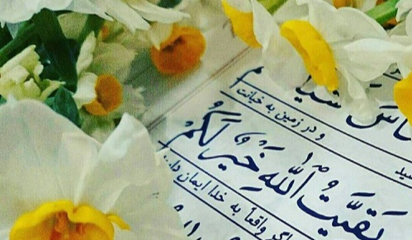 چرا برای اثبات زنده بودن امام زمان عج استناد به سوره قدر کردند؟