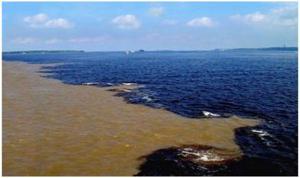 مَرَ‌جَ الْبَحْرَ‌يْنِ يَلْتَقِيَانِ ﴿١٩﴾ بَيْنَهُمَا بَرْ‌زَخٌ لَّا يَبْغِيَانِ ﴿٢٠﴾