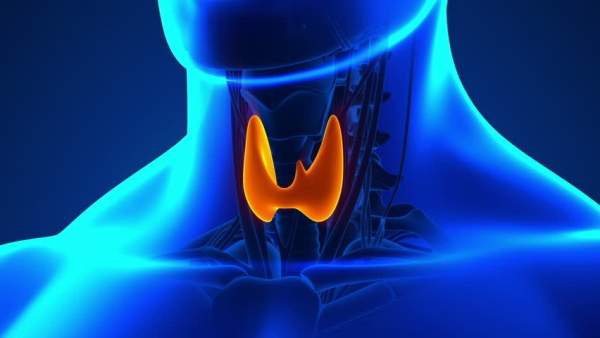 تیروئید کم‌کار را در خانه درمان کنید/ ۵ درمان طبیعی برای کم‌کاری تیروئید