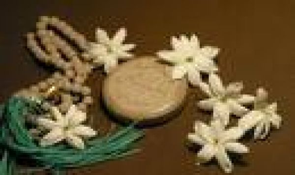 سجده بر خاک