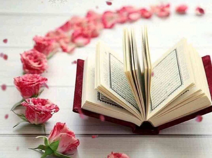 نقش قرآن در تربیت انسان‏