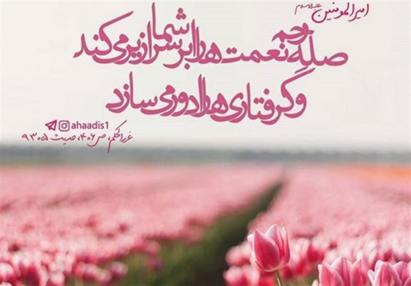 ثروتی که هیچ‌گاه تمام نمی‌شود