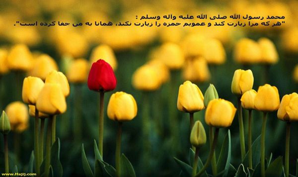 حمزه عموي پيامبر (ص)