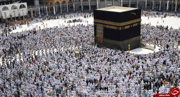 فلسفه حج تقویت ولایت الهی است