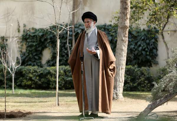 نهضت ملی درختکاری جدی گرفته شود و ادامه یابد