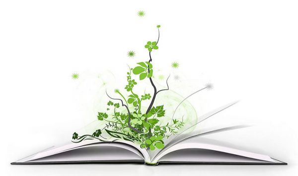 راهکارهای انديشه‌ای تقريب مذاهب اسلامی