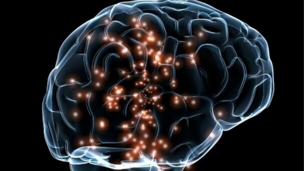 راهکار‌هایی برای جوان نگه داشتن مغز