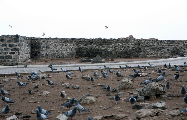 زوروا القبور