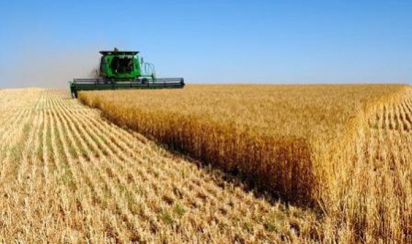 راهبردهایی برای پیشرفت ادبیات مقاومت در اقتصاد؛