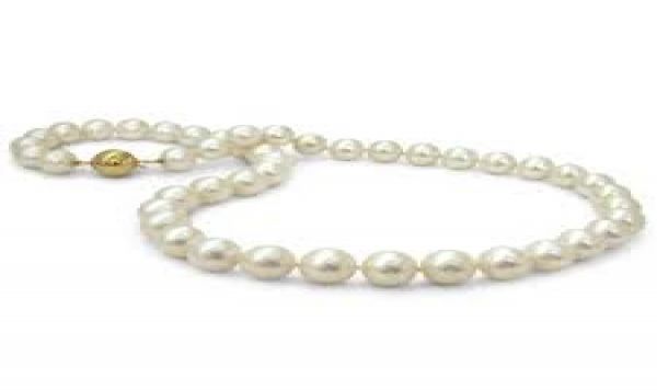 گردنبندی که به صاحبش بازگشت