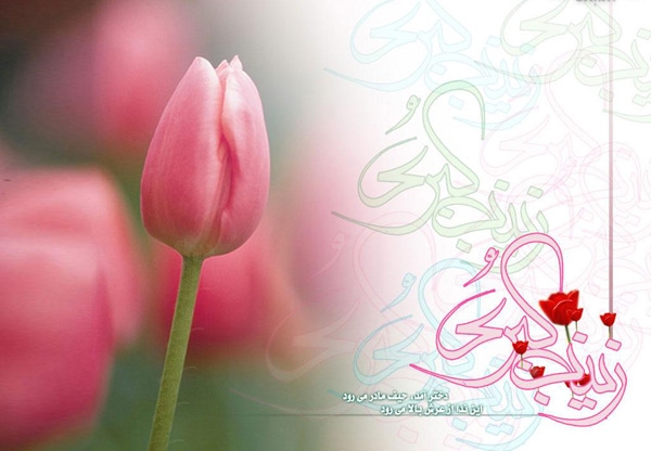 ميلاد حضرت زینب سلام الله علیها