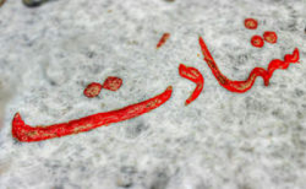 شهیدانی که آرزوی بازگشت به دنیا را دارند