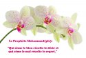 hadith-fr-037