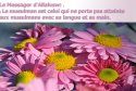 hadith-fr-107