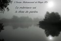 hadith-fr-207