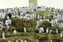 jabal-rahma38