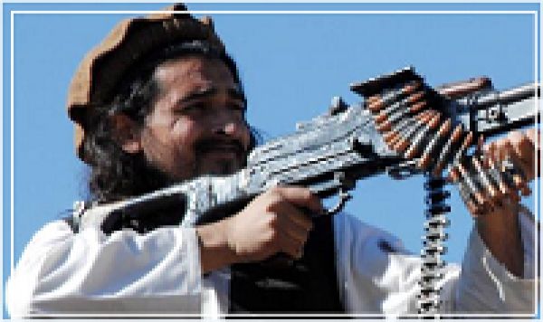Les talibans pakistanais ont nommé un chef intérimaire