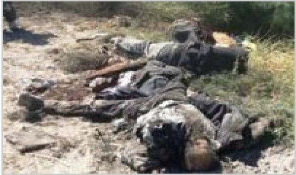 Un prince saoudien tué en Syrie !!
