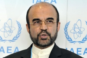 Accord nucléaire: l&#039;Occident a besoin de normaliser les relations économiques avec l&#039;Iran (Reza Najafi)
