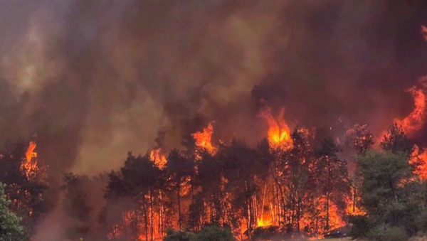 Les incendies ravagent les colonies israéliennes pour la deuxième journée consécutive