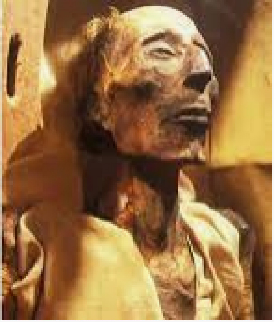 Pourquoi le corps pharaon est si préservé ? alors qu&#039;il est mort il y a plus de 3000 ans à l&#039;ère de Prohpeht Moïse (PBUH) ?*