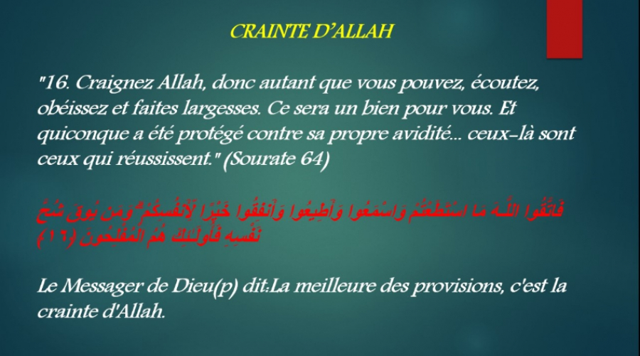 Les degrés du polythéisme (shirk)