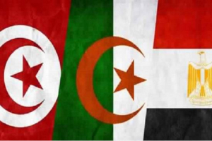 La Tunisie, l’Algérie et l’Égypte au chevet de la Libye
