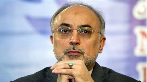 Certaines sanctions anti-iraniennes sont toujours en place (Ali Akbar Salehi)