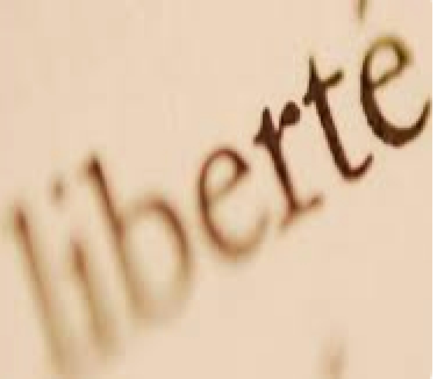 Notion bonté, LA NOTION DE LA LIBERTÉ