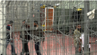 Les défenseurs des droits dénoncent les « abus systématiques » contre les détenus palestiniens