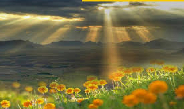 Supplication de l’Imam Ali Ibn Abi Talib