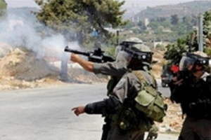 Une nuit sous tension en Palestine : 17 blessés à Qalandiya, un mort au Néguev