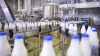 Iran: les exportations annuelles de produits laitiers ont atteint un milliard de dollars