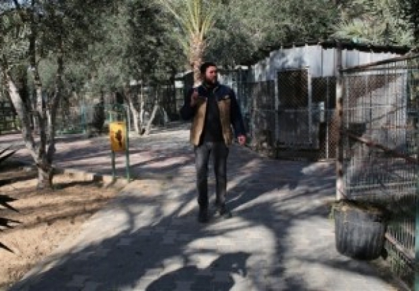 Gaza/Palestine: les animaux du zoo victimes de l&#039;offensive israélienne