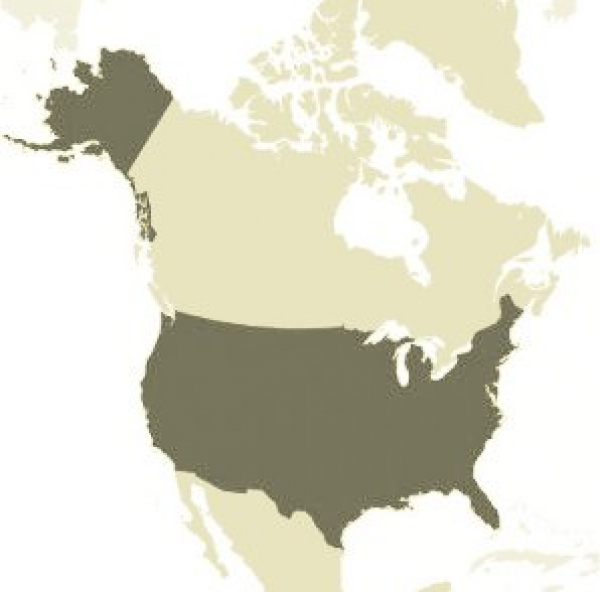 La « grande stratégie » US
