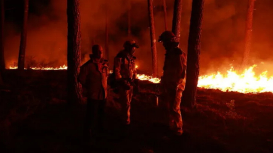 Incendies en France : des dégâts considérables après un été marqué par les feux