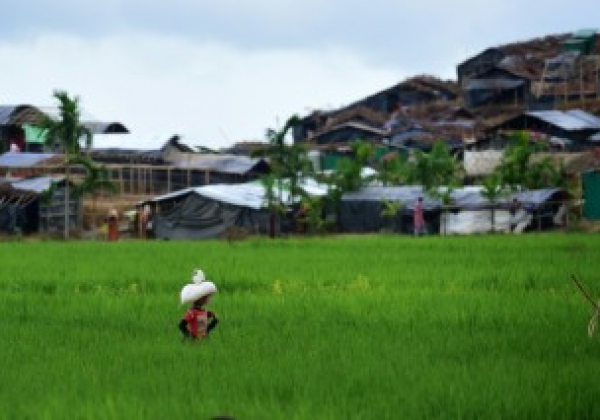 Rohingyas: la trêve s&#039;achève lundi soir