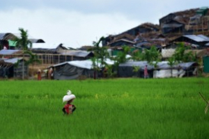 Rohingyas: la trêve s&#039;achève lundi soir