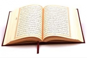 Le motif et la symbolique de l’arbre dans le Coran