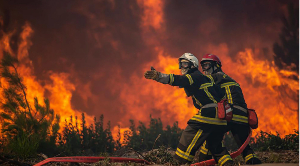 Une vague de chaleur a frappé l’Europe de plein fouet, entraînant 264 morts au Portugal