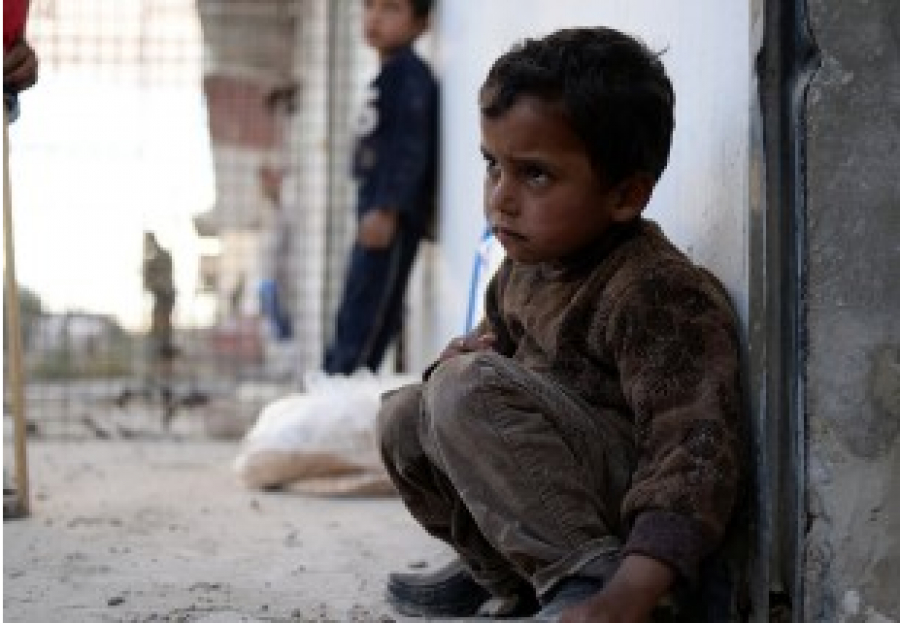 3 000 enfants yazidis sont toujours dans les mains de Daech