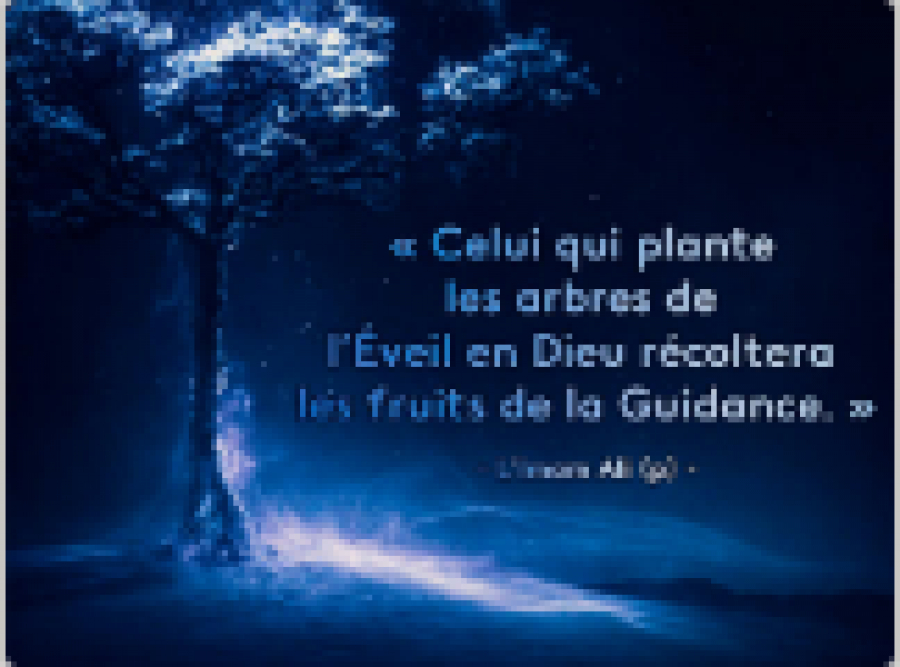 Imam Ali (p), le plus savant