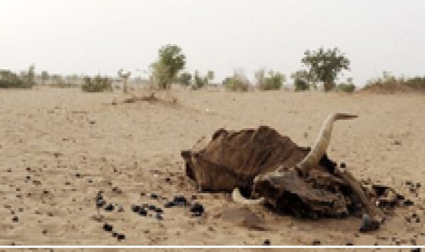 Intervention militaire française: la situation humanitaire inquiétante du Mali