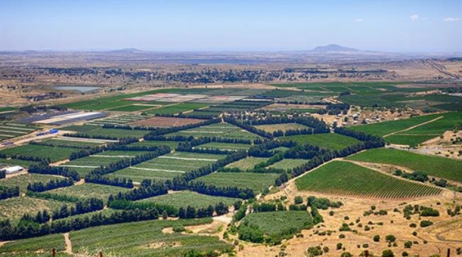 « La Syrie récupérera le Golan » (Faisal Mekdad)