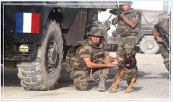 La Russie met en doute sur l&#039;intervention militaire française au Mali