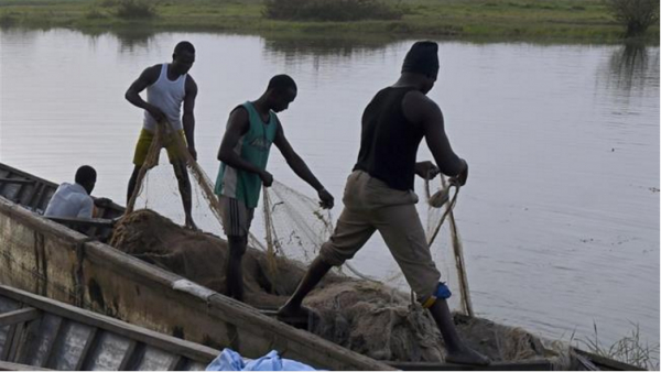Le Parlement du Nigeria enquête sur la mort de 97 Nigérians