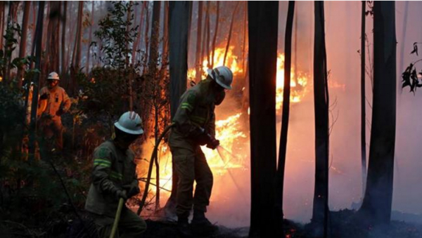 Incendie au Portugal : au moins 62 morts, selon le dernier bilan