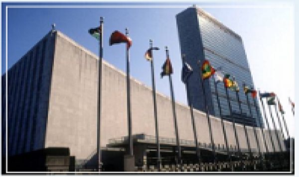 Le statut d’Etat observateur à l’ONU accordé à la Palestine
